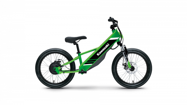 Elektrode 20 Elektrode 20