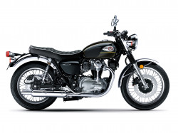 W800
