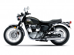 W800