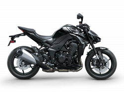 Z1100