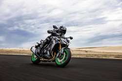 Z1100