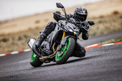 Z1100